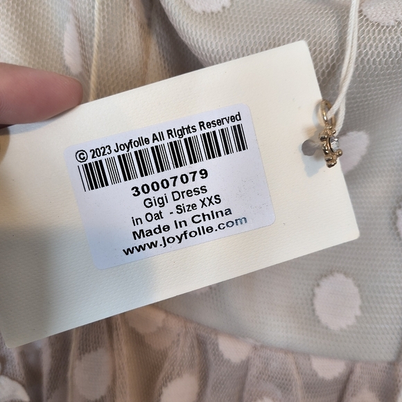 Joyfolie Gigi Lace Hi Low Fairy Dress in Oat Size XXS NWT - Picture 8 of 10